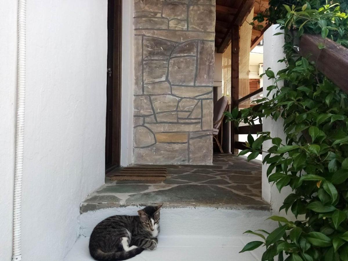 Petrino1880 Sea-Vacation Apartment In Chalkidiki Ájosz Nikólaosz Kültér fotó